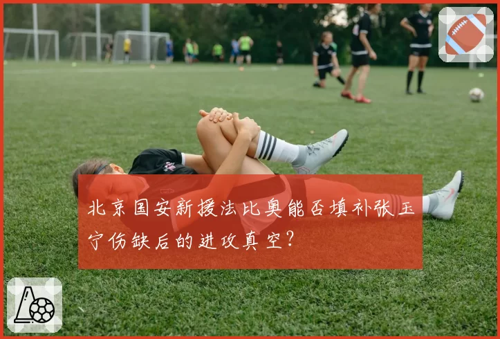 北京国安新援法比奥能否填补张玉宁伤缺后的进攻真空？