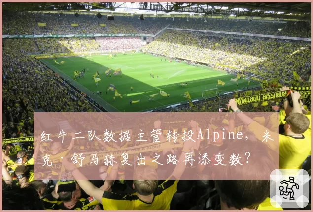 红牛二队数据主管转投Alpine，米克·舒马赫复出之路再添变数？