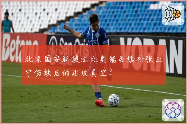 北京国安新援法比奥能否填补张玉宁伤缺后的进攻真空？