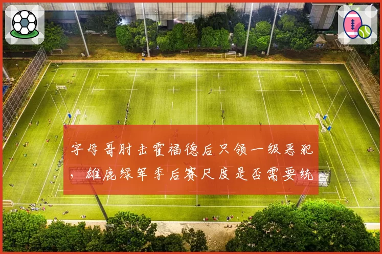 字母哥肘击霍福德后只领一级恶犯，雄鹿绿军季后赛尺度是否需要统一标准？