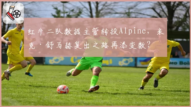 红牛二队数据主管转投Alpine，米克·舒马赫复出之路再添变数？