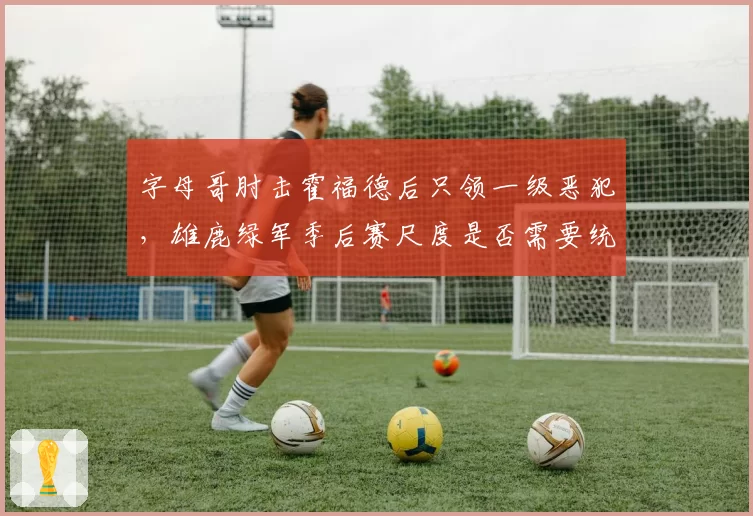 字母哥肘击霍福德后只领一级恶犯，雄鹿绿军季后赛尺度是否需要统一标准？