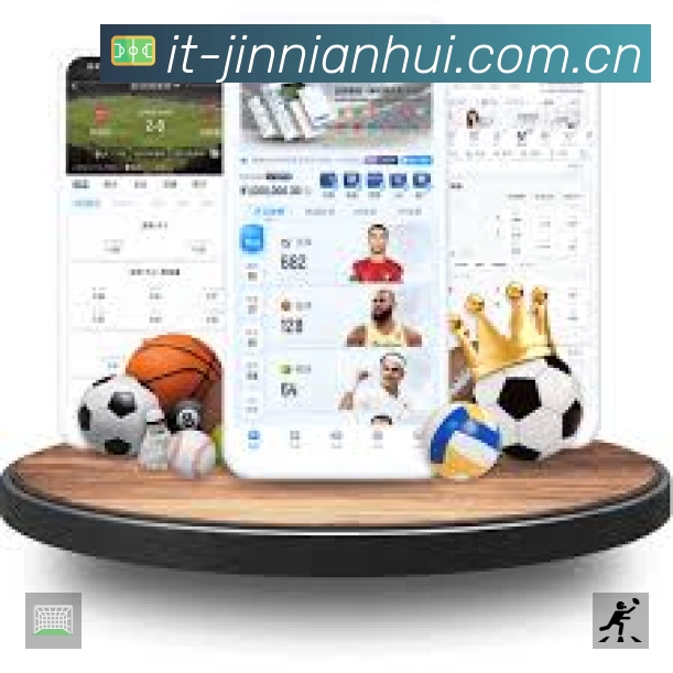 全球访问热力分布图